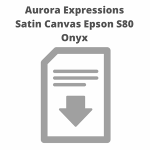 Canvas download icon with text: Aurora Expressions.
